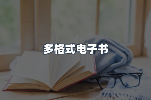 多格式电子书